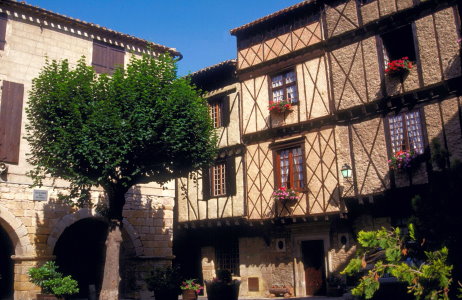 vautours