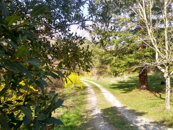 Nature