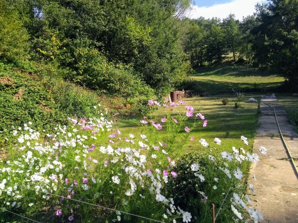 frontGarden