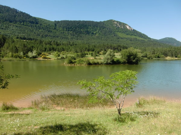 lac