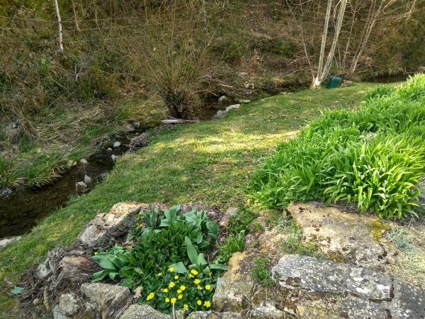 Ruisseau